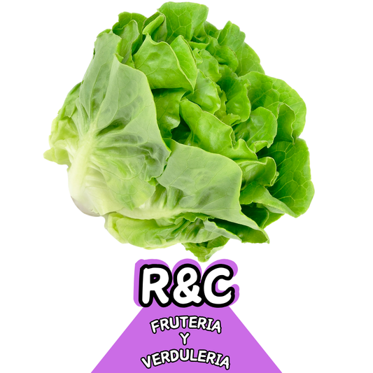 Lechuga
