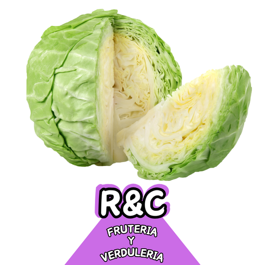Repollo