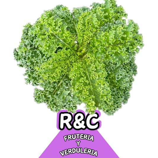 Lechuga Crespa